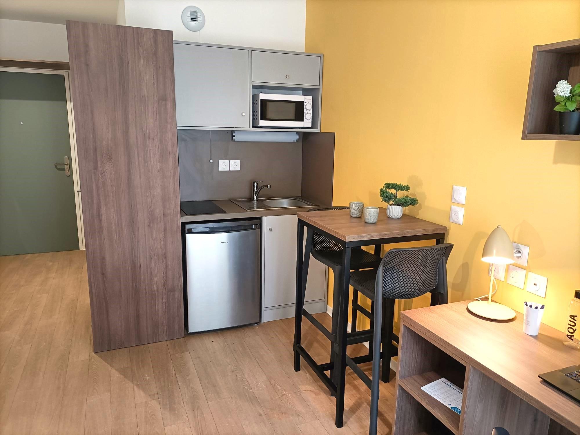 LYON CAMPUS DES ALPES photo 6